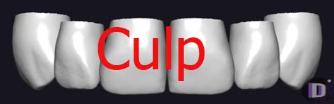 Culp_prev1