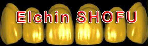shofu1